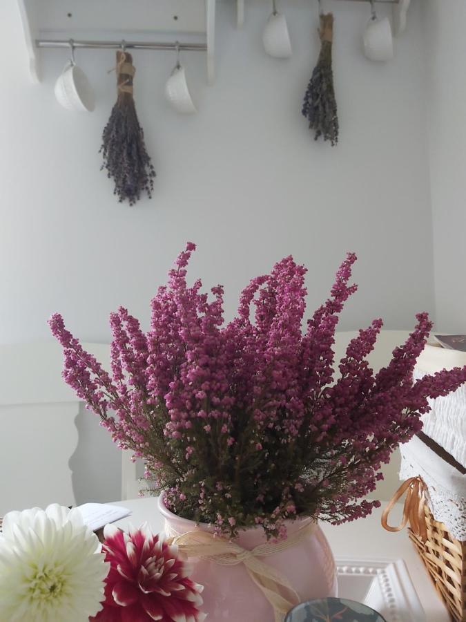Lawendowe Love Rynek Rzeszow Close Center Apartment ภายนอก รูปภาพ